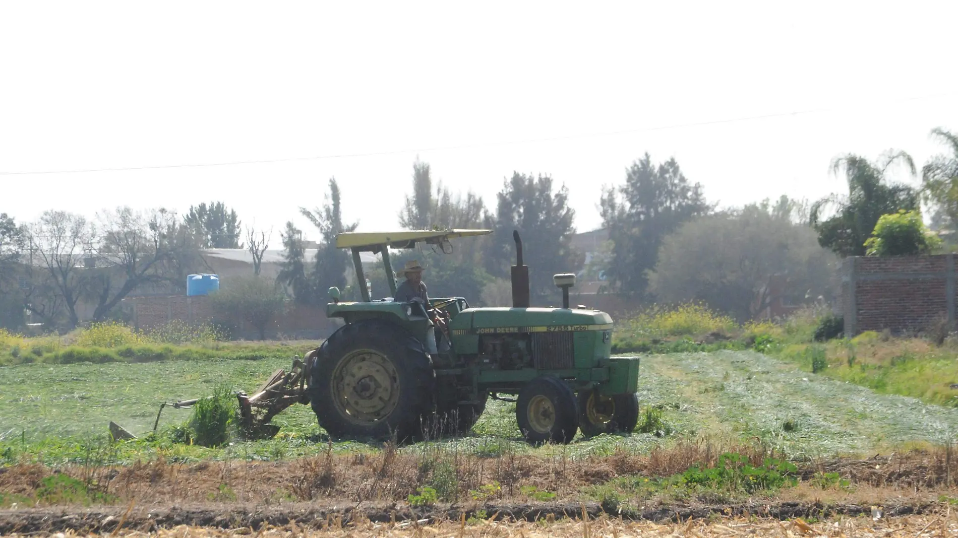 f carmona cultivos (1)